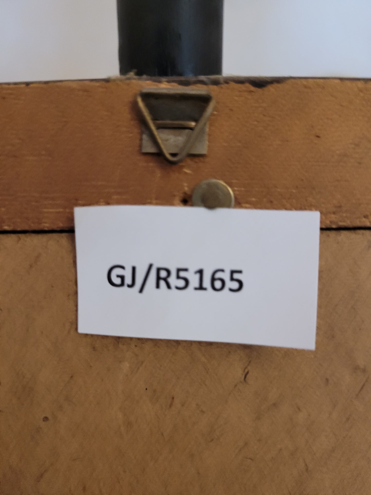 Vintage Kunstdruck einer Ente "Tadorna Tadorna" mit Holzrahmen