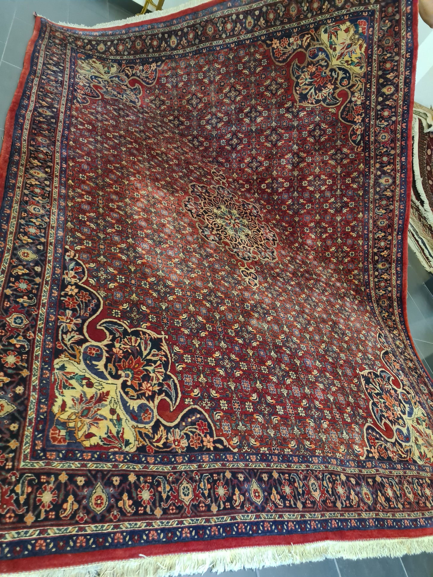 Feiner Königlicher Handgeknüpfter Perser Rosen Bidjar Orientteppich 300x228cm