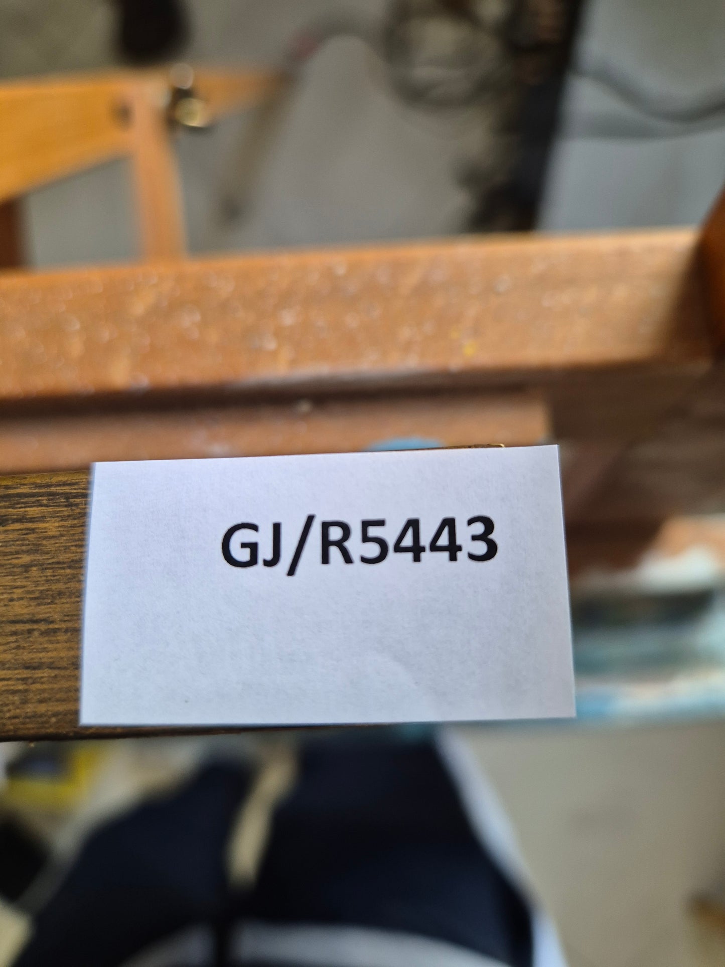 The Master of the Magdalene Legend Porträt Erzherzogin Isabella 24x27 cm