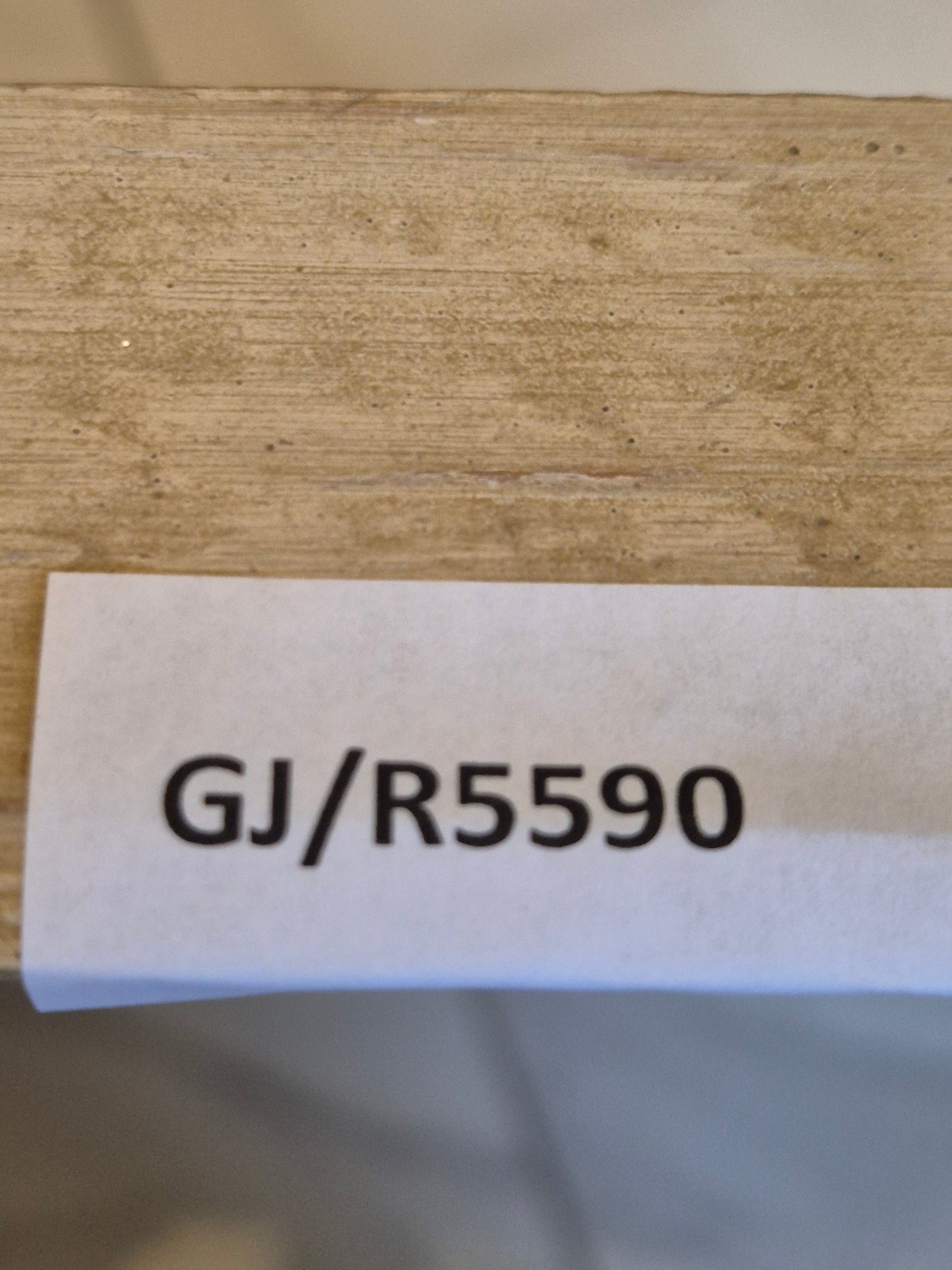 Ölgemälde Katzen Portrait Handsigniert K. Hoppmann (XIX-XX) 38x48cm