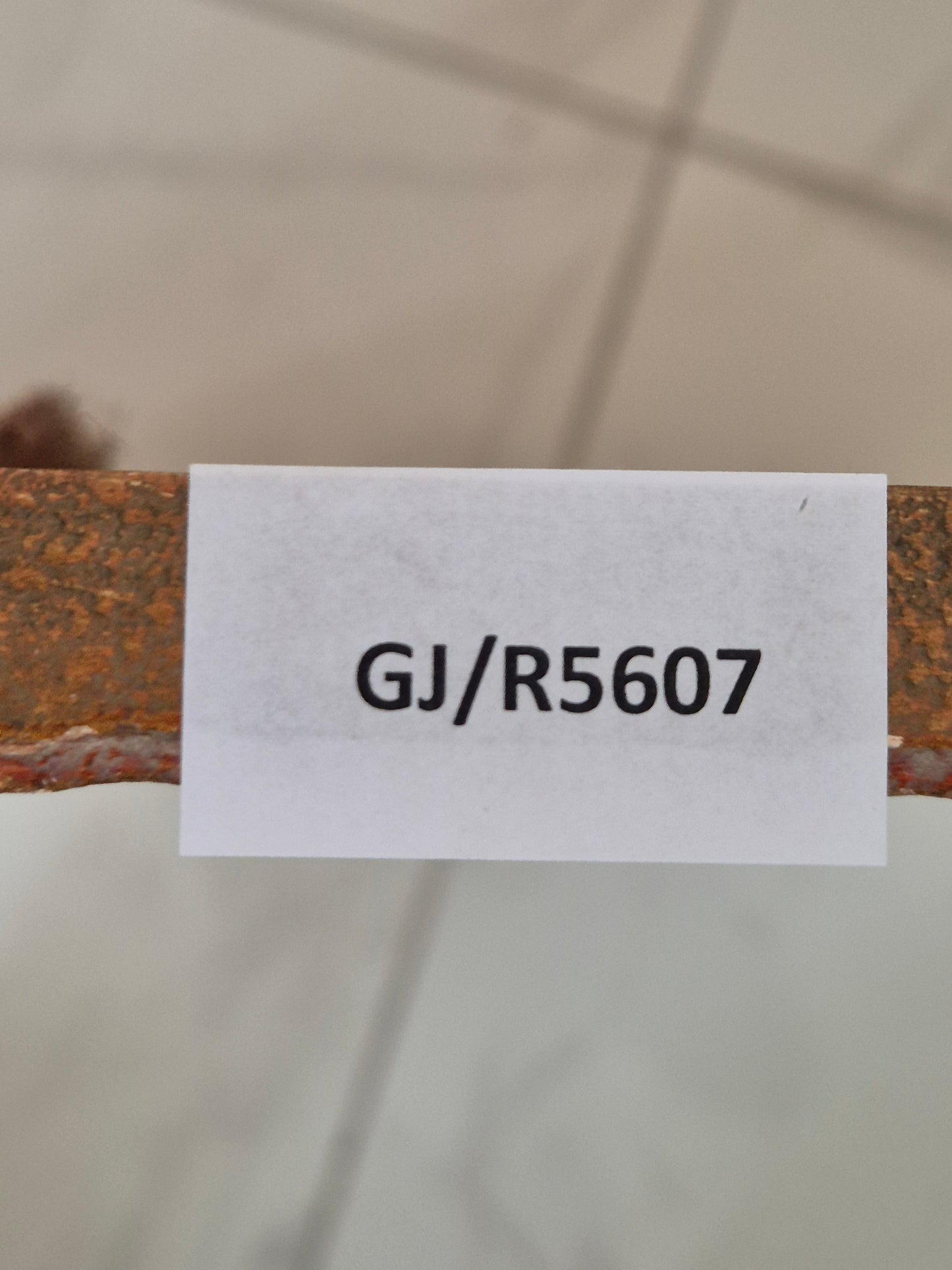 Chinesische Grafik Lithographie Aquarium Fische und Gräser 52x66cm