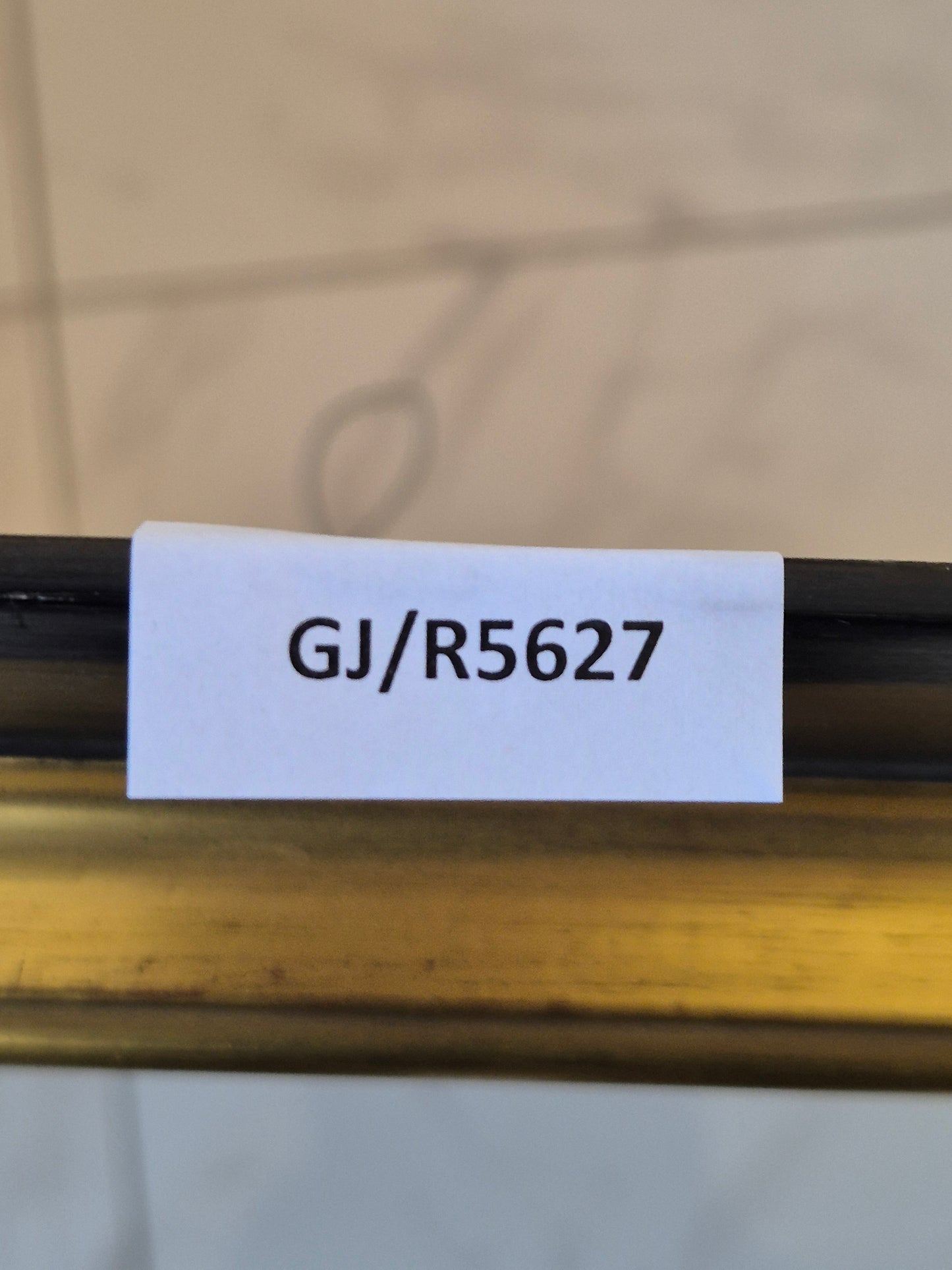 Oskar Frey (1883-1966) Ölgemälde Papagei mit Buntem Gefieder 82x65cm