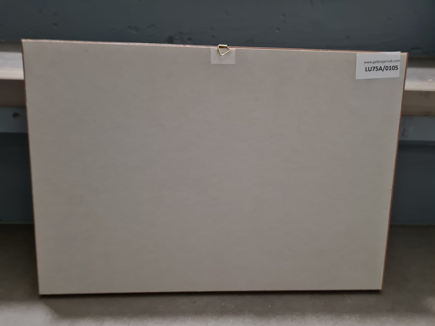 Aktien Historischer Wertpapiere 14er Set Gerahmt Wertanlagen 32x22cm