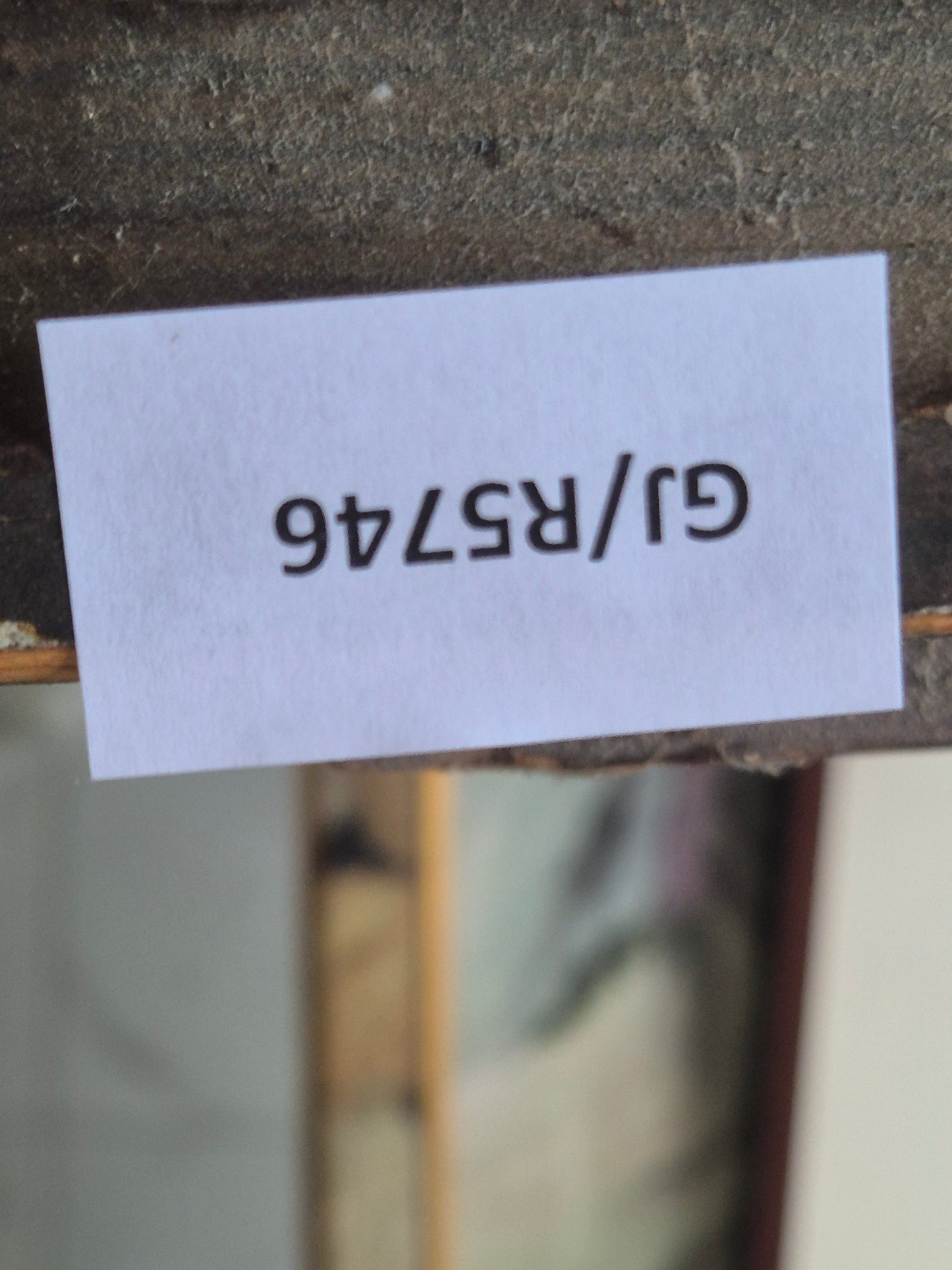 Schloss Dätzingen Druckgrafik Lithographie Landschaftsidylle Gerahmt