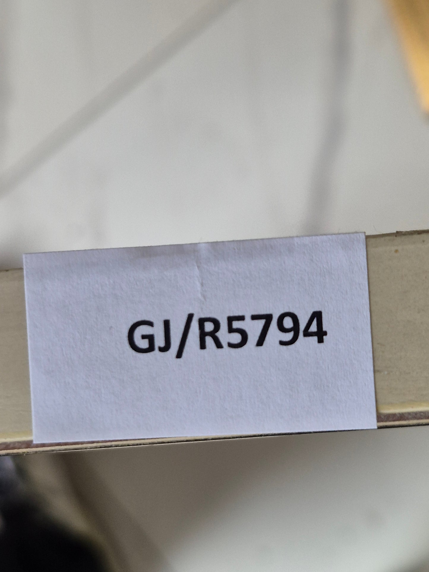 Farblithographie Handsigniert Blick in einen botanischen Garten 46x38cm