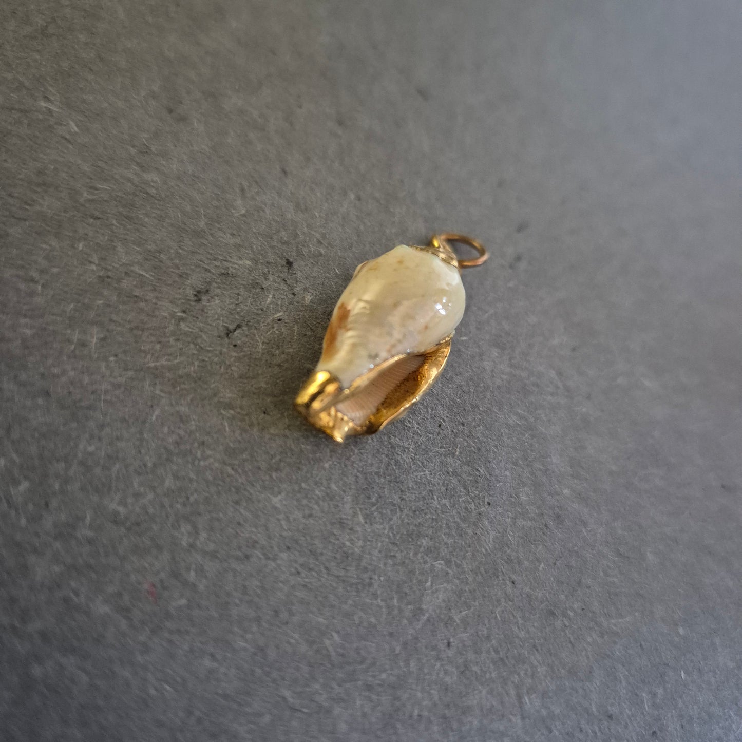 Maritimer Muschel-Anhänger mit Goldfassung – Natur trifft Eleganz