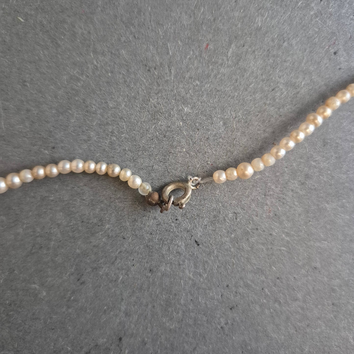 Elegante Perlenkette mit roten Korallen – Klassischer Stil mit Farbakzent