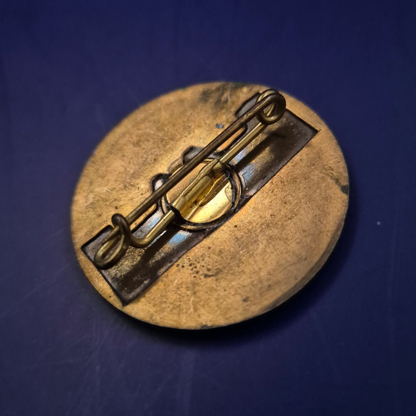 Historische Anstecknadel „Besuch im Reichstag Berlin“ – Sammler-Rarität