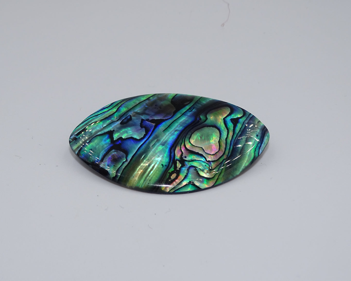 Natürliche Seashell Abalone Muschel Brosche