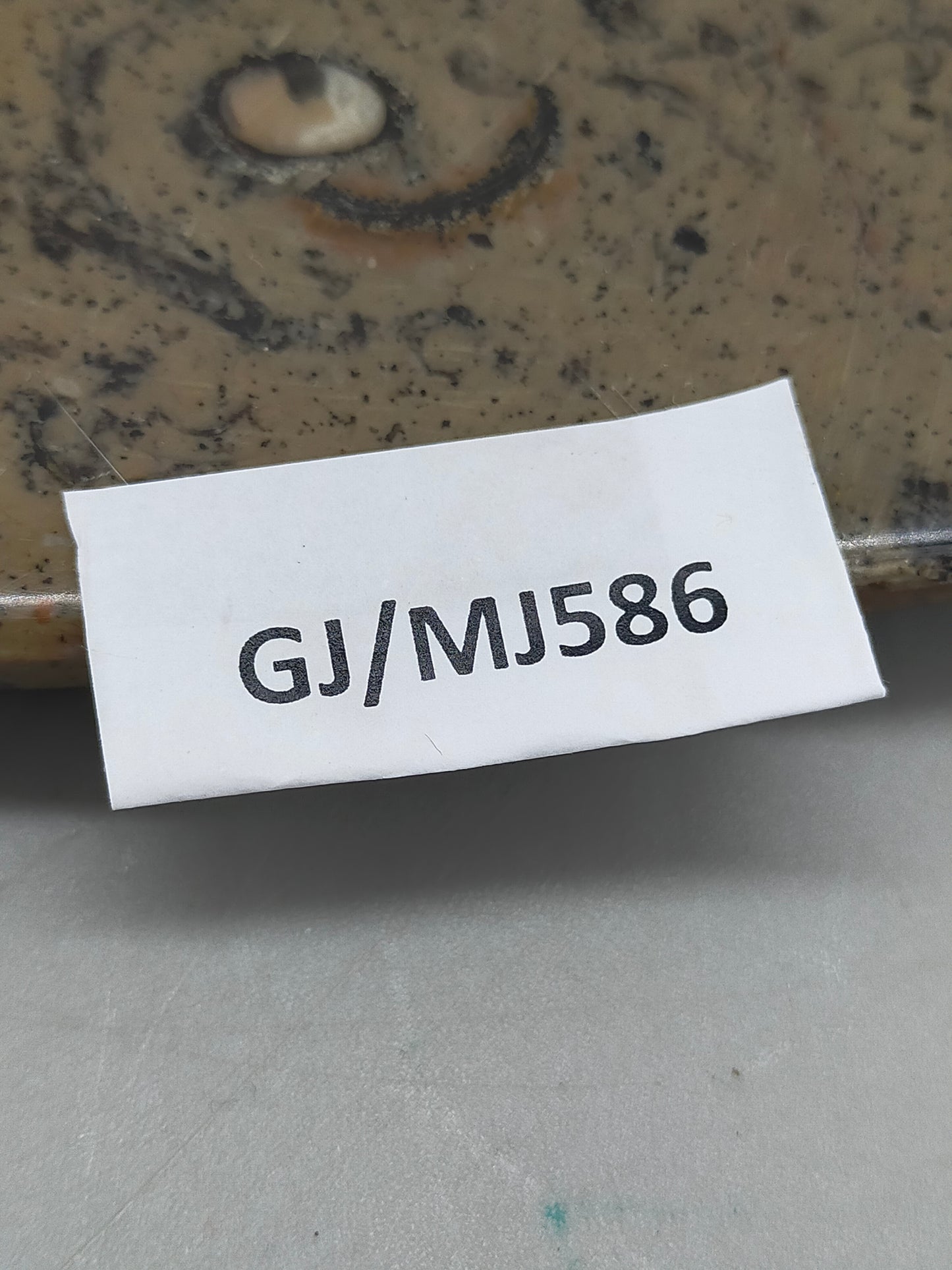 Fossilien Servierplatte aus Stein Ovale Dekoschale mit Ammoniten