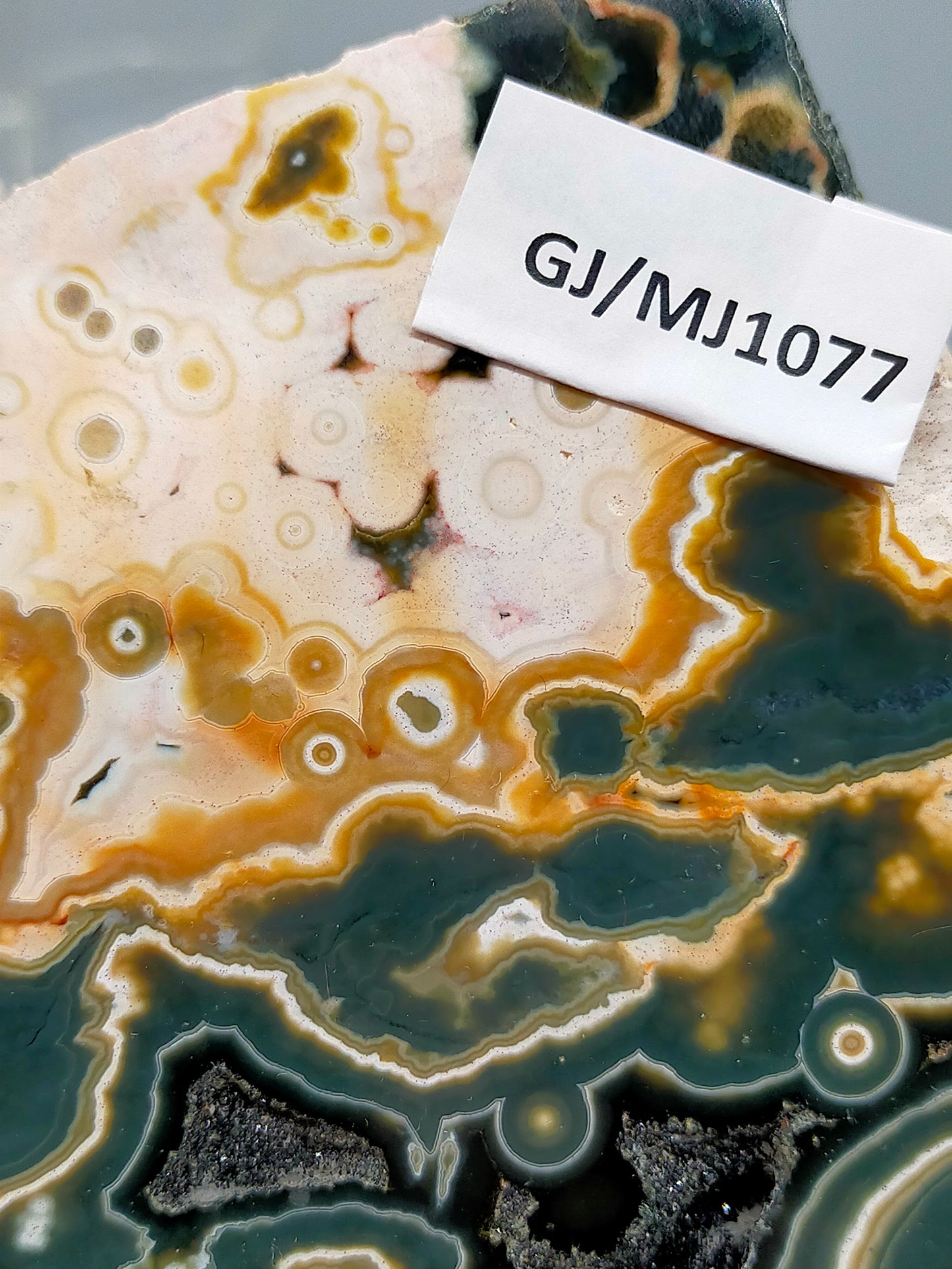 Faszinierender Ozean Jaspis Anschliff Farbintensiver Orbicular Jasper