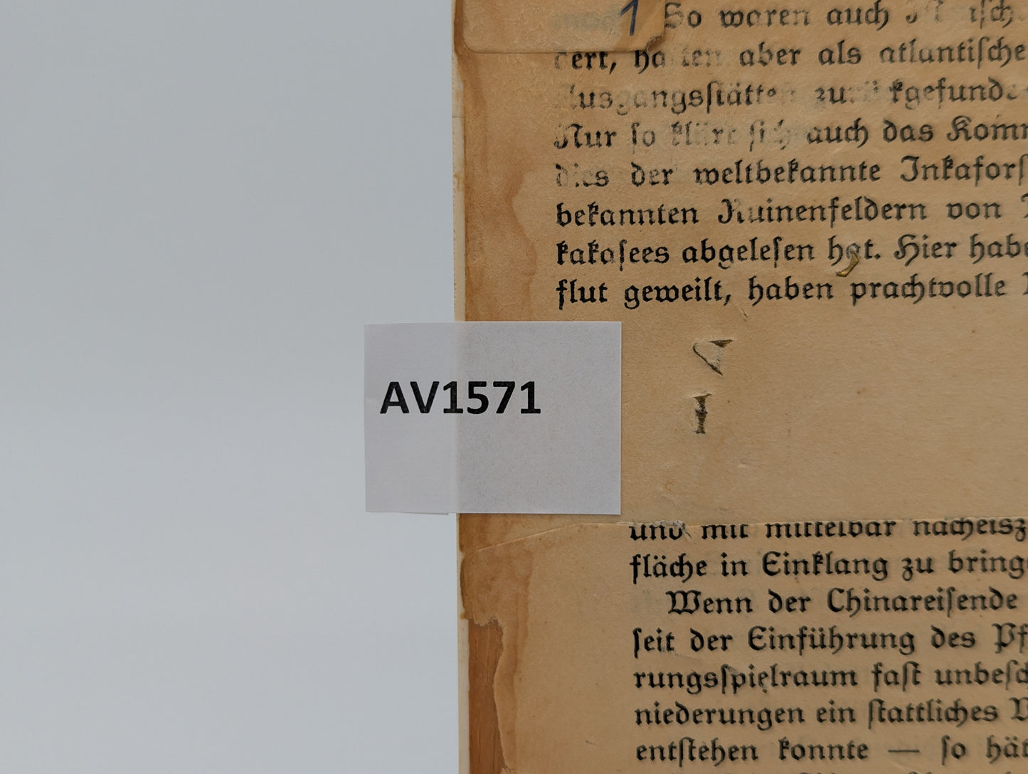 Lupenmalerei Franz Schubert feine Porträt Miniatur im ovalen Rahmen Bild