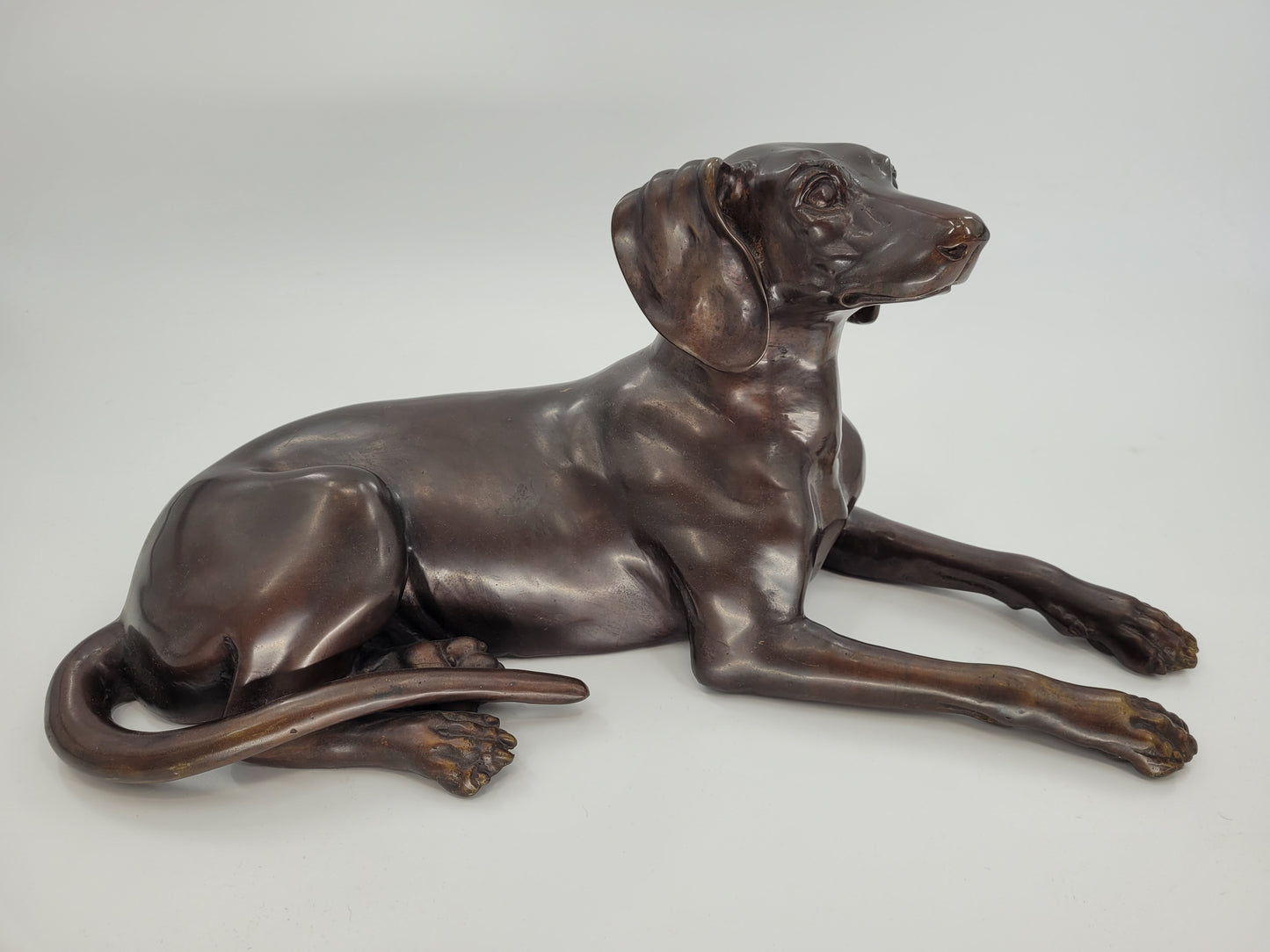 Bronze Skulptur - Liegender Hund / Weimaraner