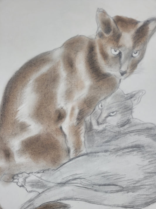 Grafik 2 Kuschelnde Katzen Harmonische Darstellung gerahmt 58x58cm