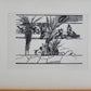 Original Holzschnitt, H.C. Künstlerabzug Handsigniert Oase in der Wüste