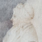 Antike Lumpenmaleri mit Beinarbeit: Porträt einer Dame