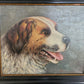 Düsseldorfer Schule (XX) Ölgemälde Hundeportrait Bernhardiner 44x52cm