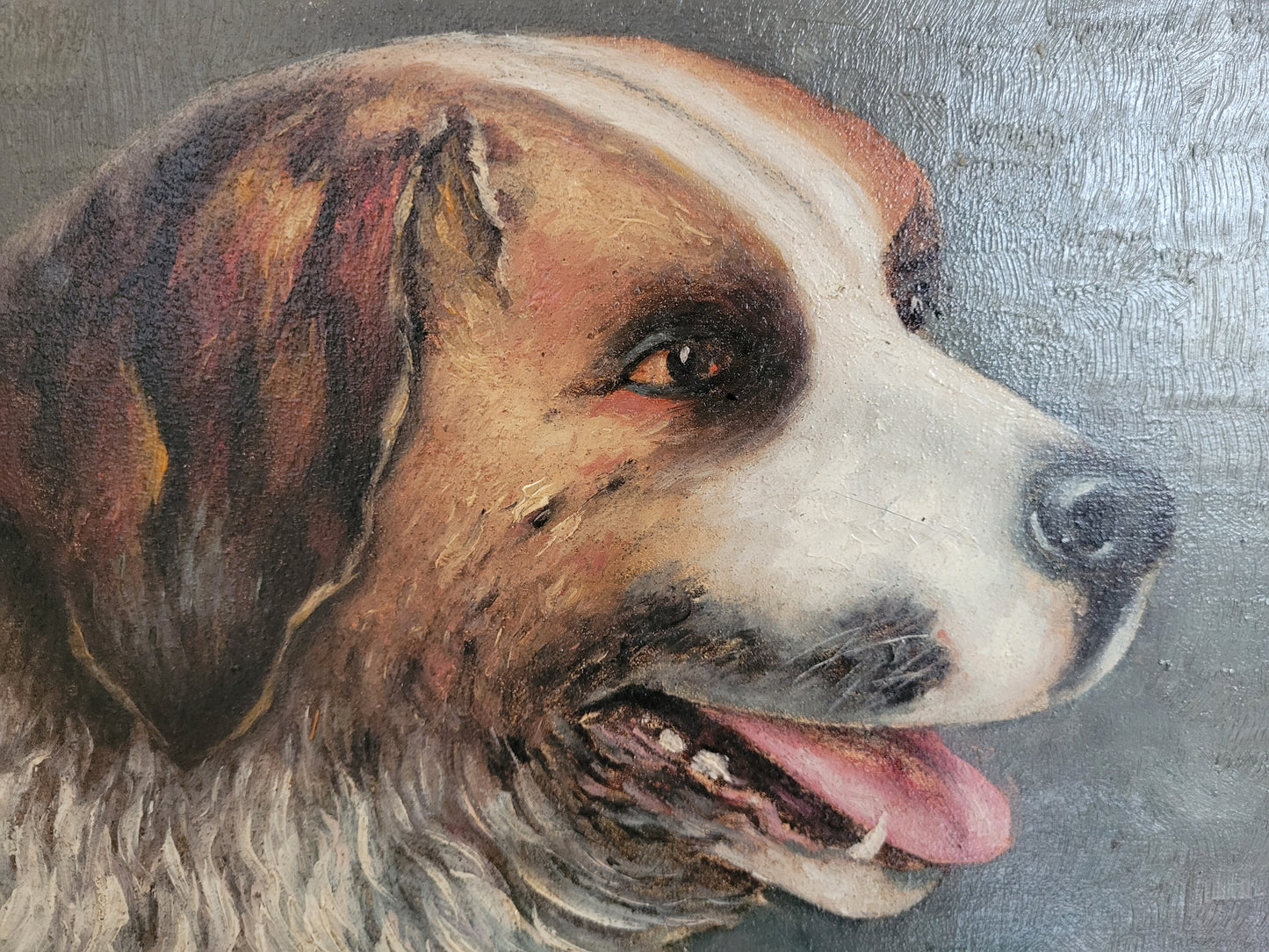 Düsseldorfer Schule (XX) Ölgemälde Hundeportrait Bernhardiner 44x52cm