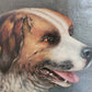 Düsseldorfer Schule (XX) Ölgemälde Hundeportrait Bernhardiner 44x52cm