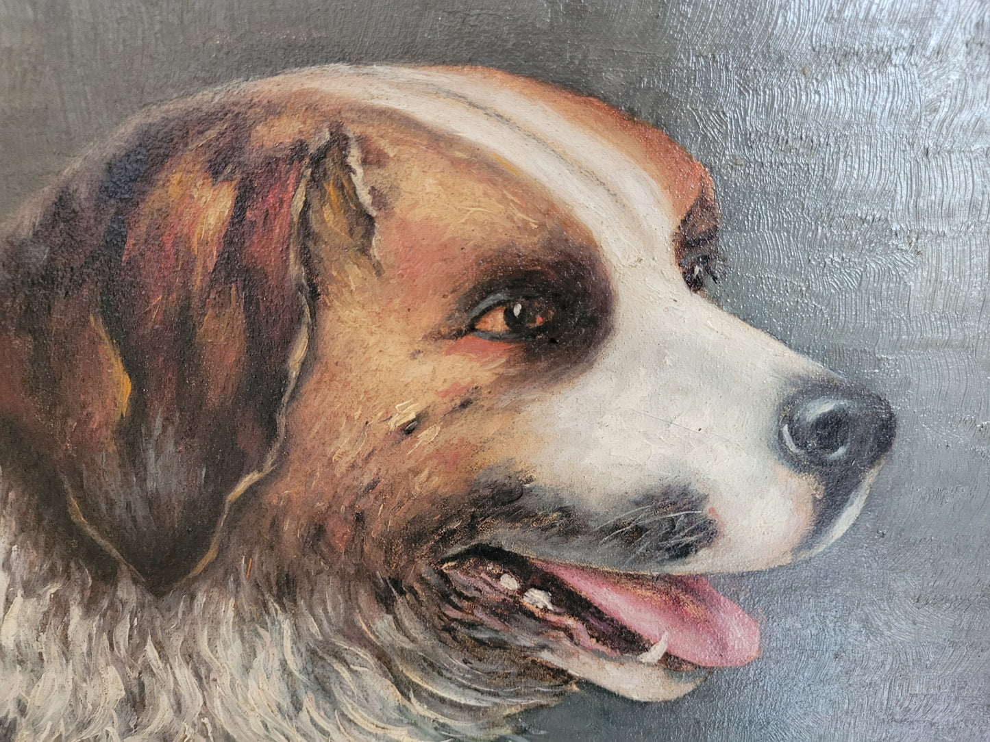 Düsseldorfer Schule (XX) Ölgemälde Hundeportrait Bernhardiner 44x52cm