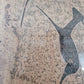 Original Monotypie (XX) Afrikanische Wildnis Höhlenmalereien Handsigniert