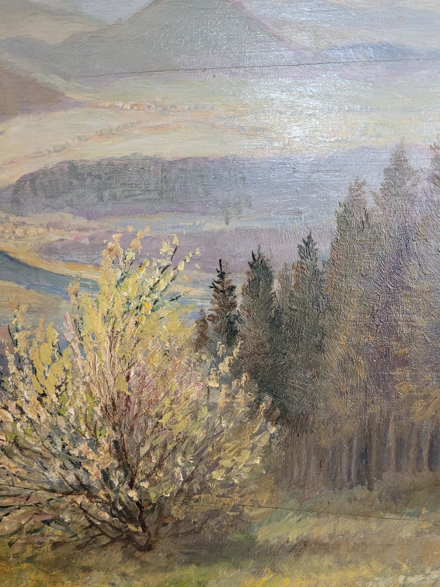 Georg Röder (1867-1958) Ölgemälde Landschaft im Rheintal 60x72cm