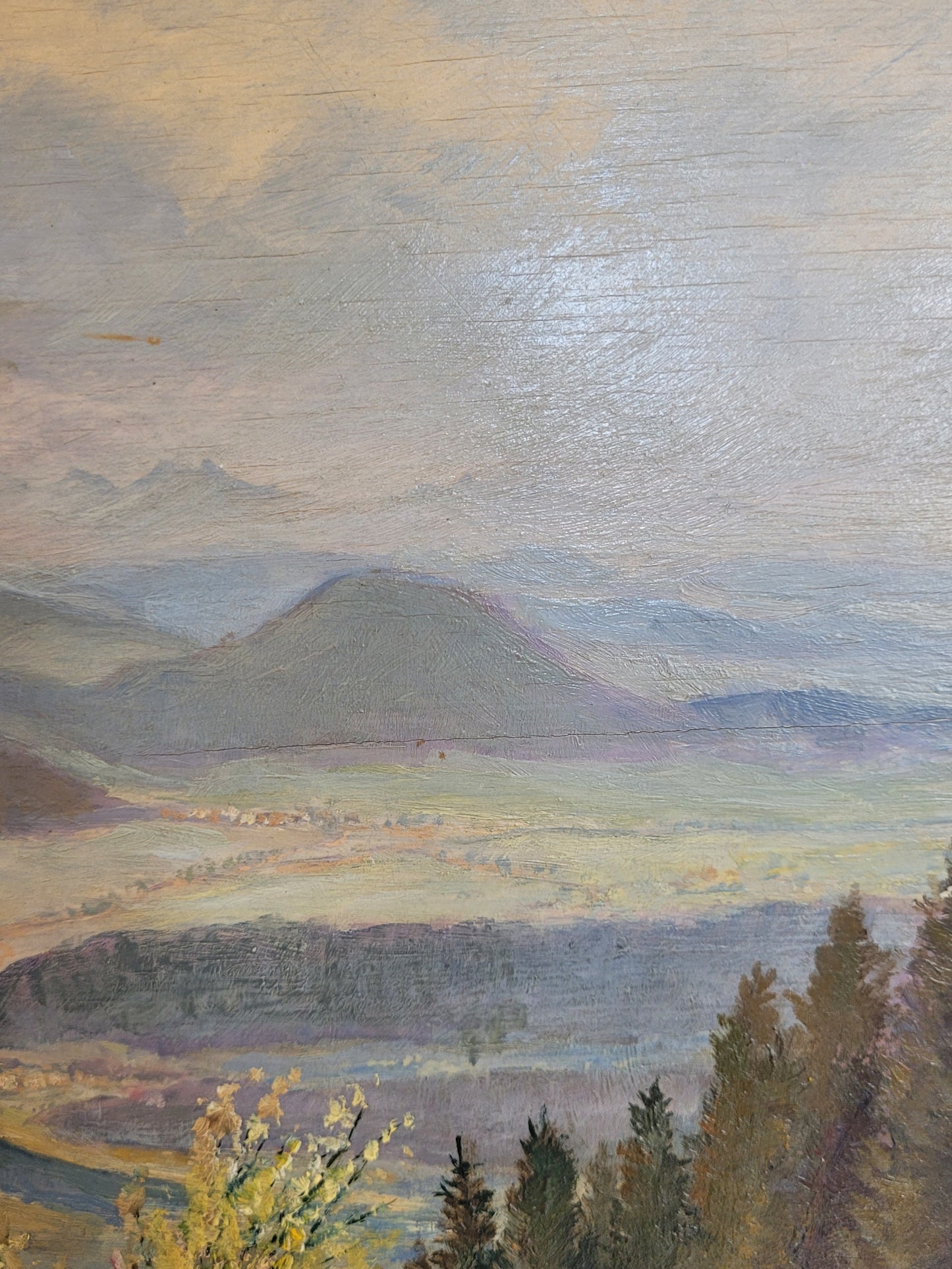 Georg Röder (1867-1958) Ölgemälde Landschaft im Rheintal 60x72cm