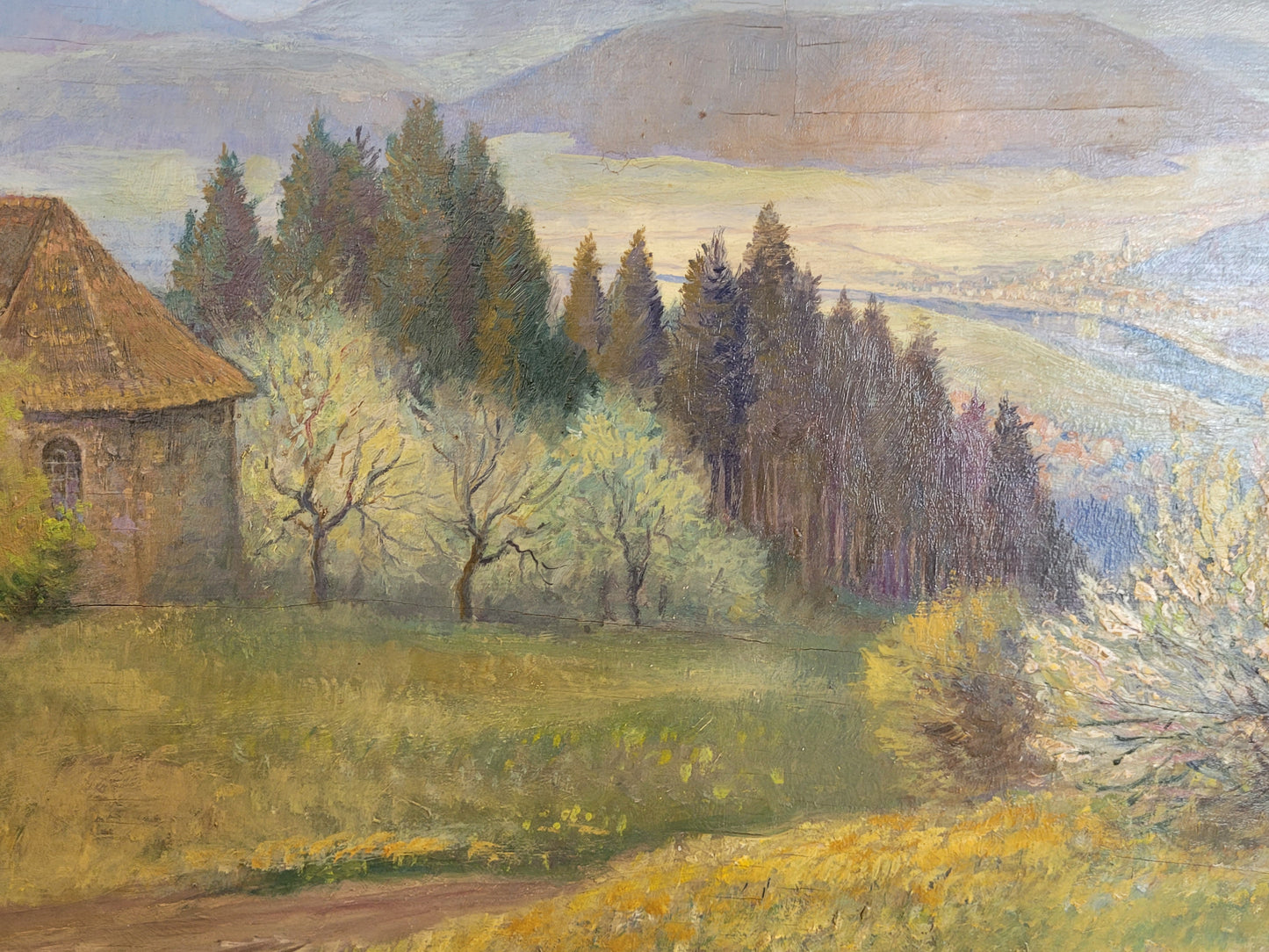 Georg Röder (1867-1958) Ölgemälde Landschaft im Rheintal 60x72cm