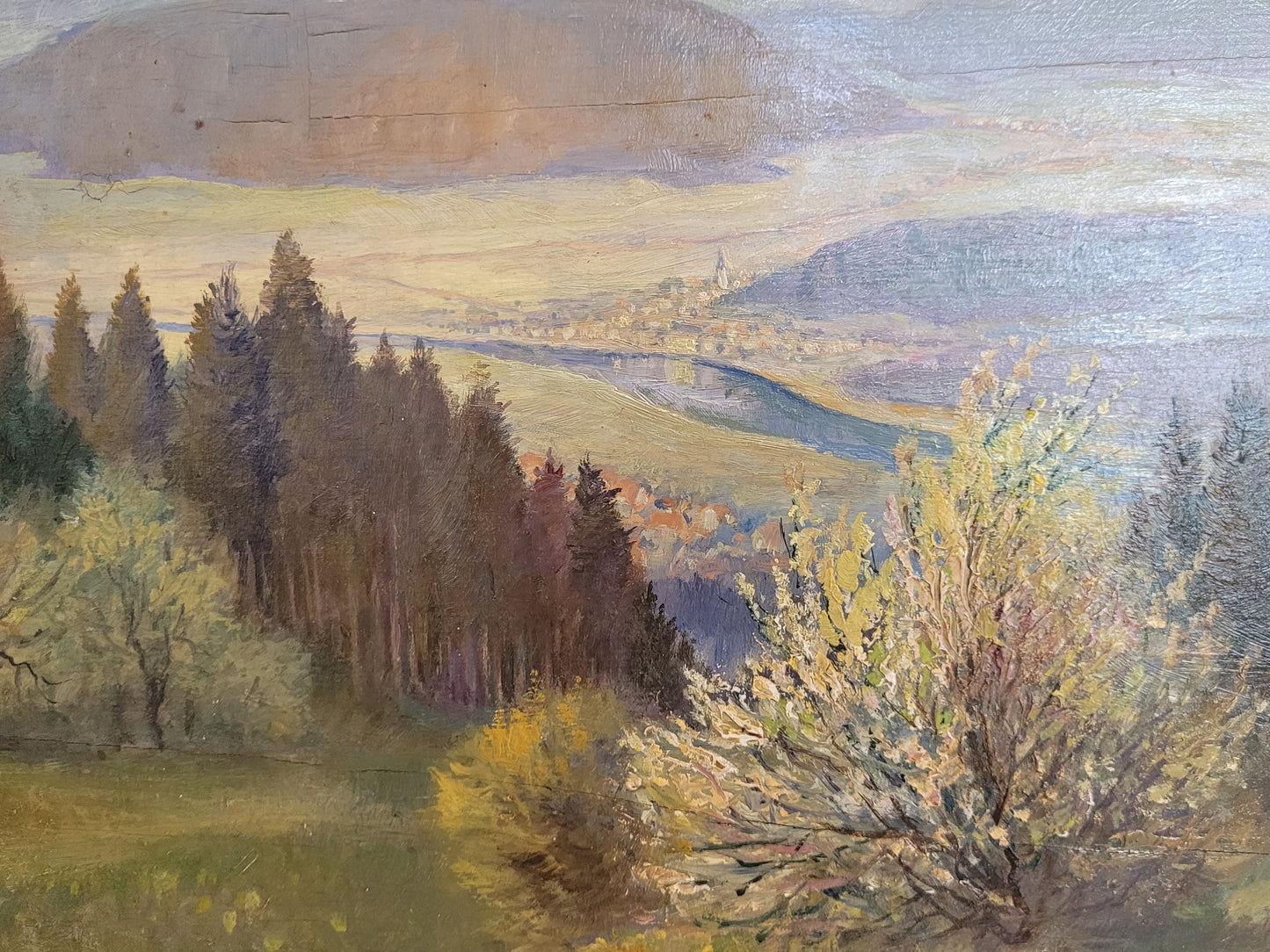 Georg Röder (1867-1958) Ölgemälde Landschaft im Rheintal 60x72cm