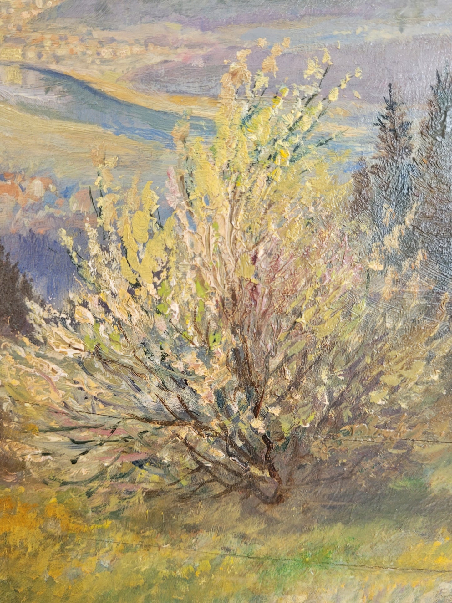 Georg Röder (1867-1958) Ölgemälde Landschaft im Rheintal 60x72cm