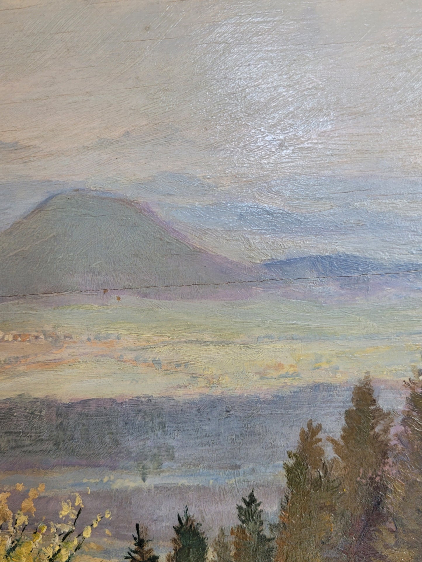 Georg Röder (1867-1958) Ölgemälde Landschaft im Rheintal 60x72cm