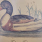 Vintage Kunstdruck einer Ente "Tadorna Tadorna" mit Holzrahmen