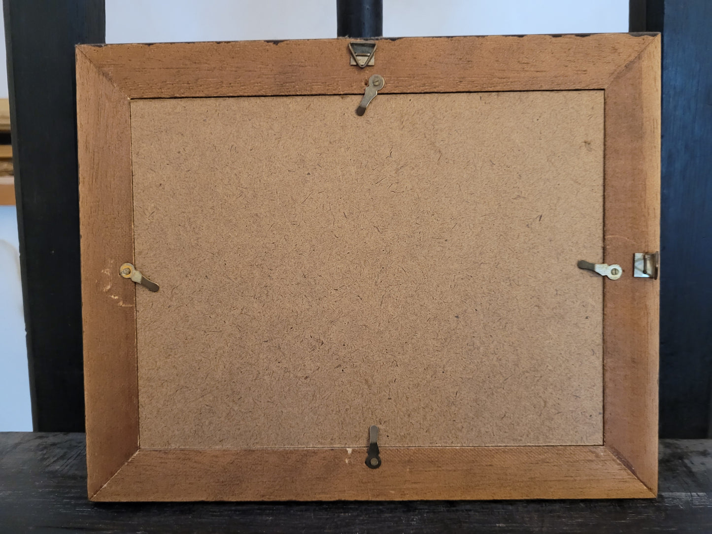 Vintage Kunstdruck einer Ente "Tadorna Tadorna" mit Holzrahmen