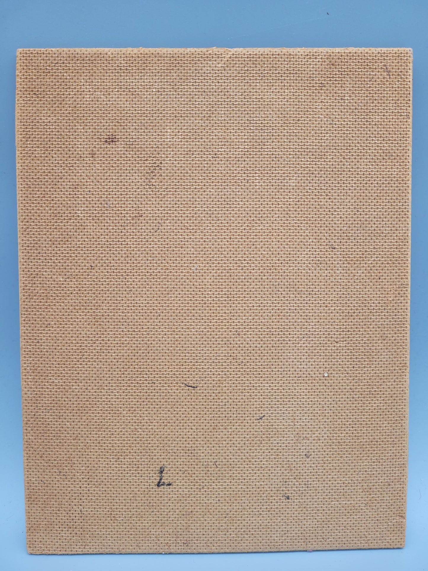 Mitteleuropäische Schule (XX) Interessantes Gemälde Porträt