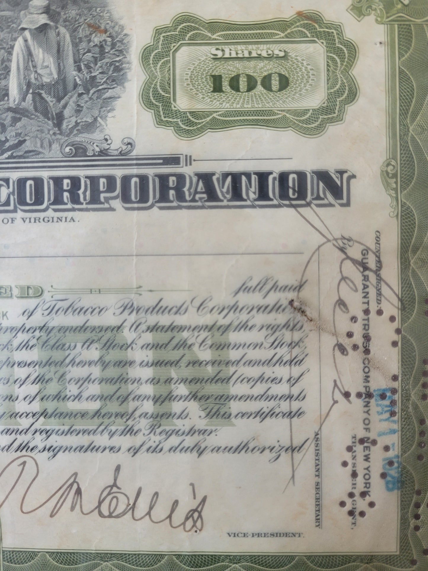 Original Aktien Tobacco Products Corporation, 100 Anteile 1928