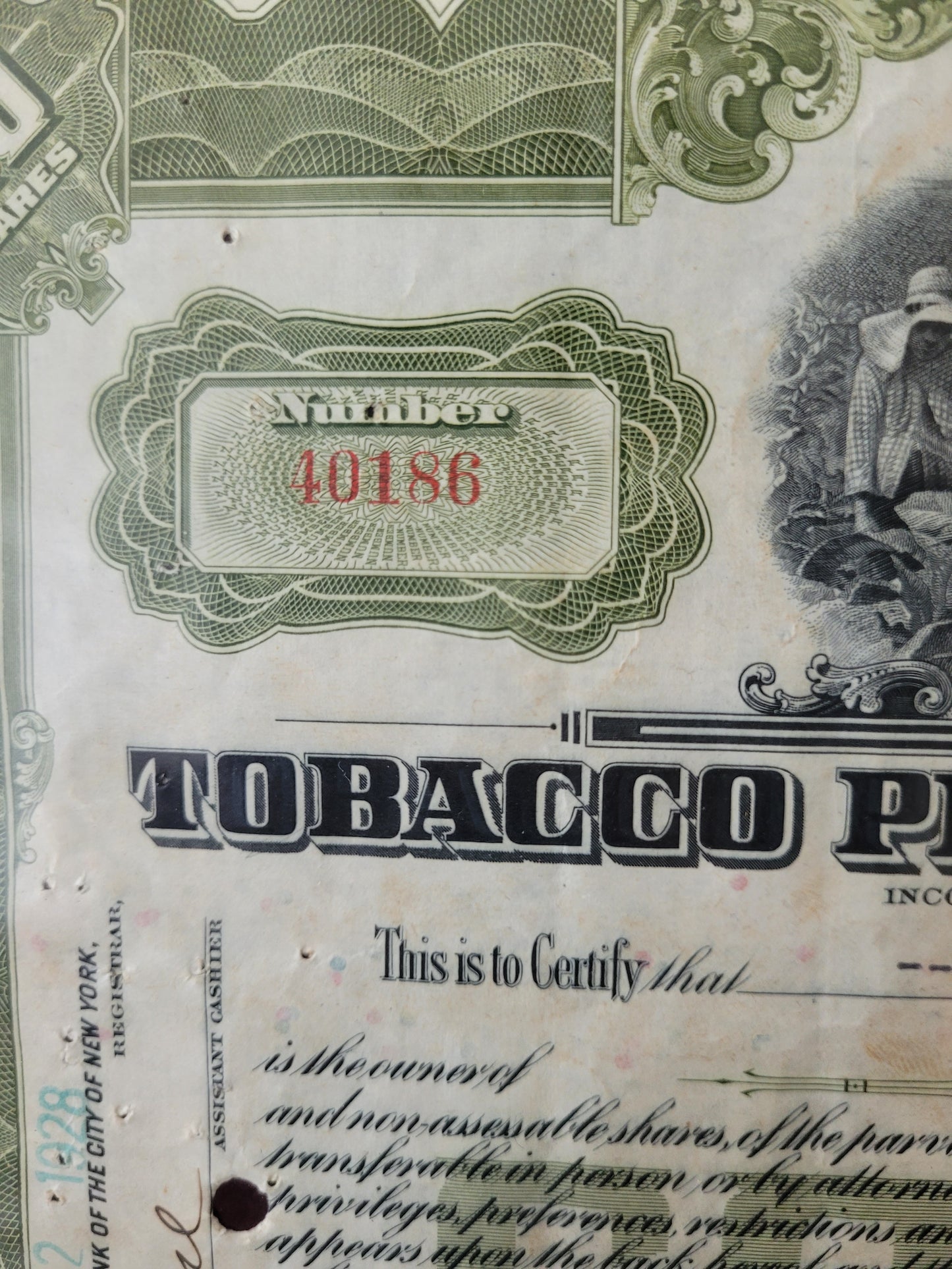 Original Aktien Tobacco Products Corporation, 100 Anteile 1928