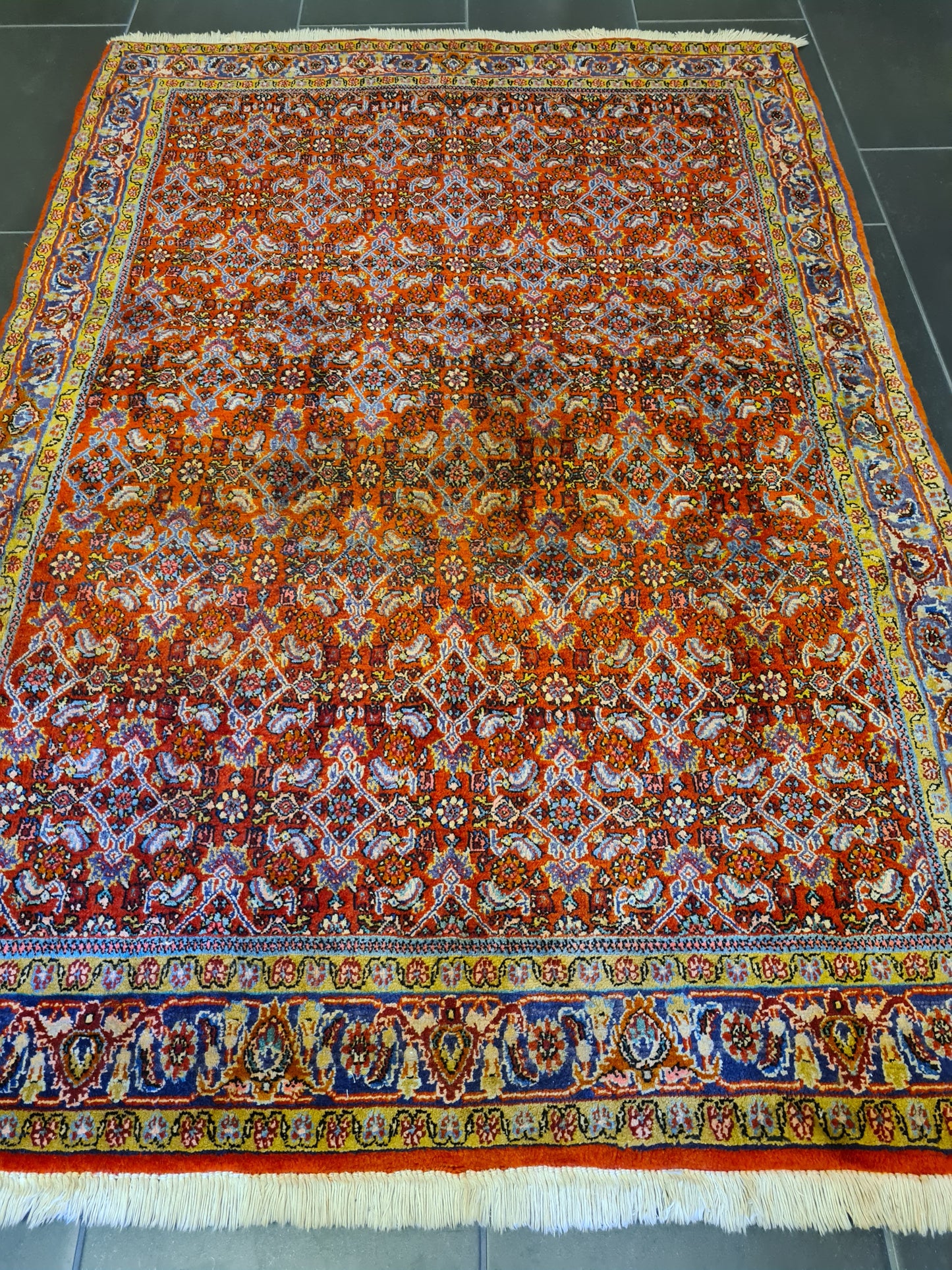 Feiner Handgeknüpfter Orientteppich - Bidjar Teppich Indien 175x118cm