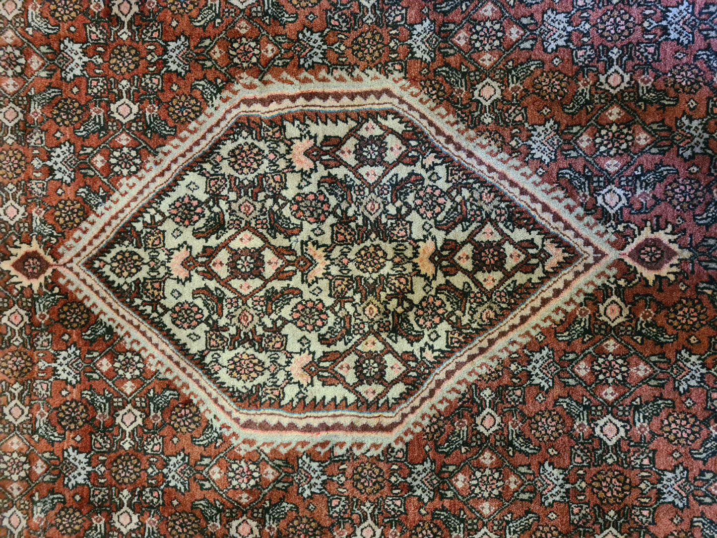 Edler Feiner Perser Bidjar Orientteppich Handgeknüpftes Meisterwerk 227x142cm