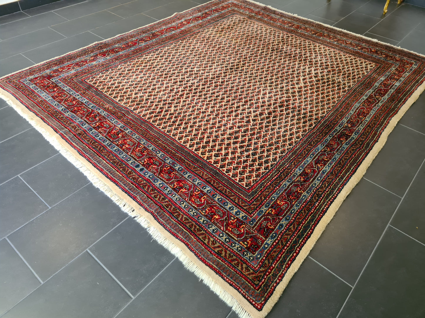 Königlicher Palastteppich - Handgeknüpfter Perser Sarough Mir Orientteppich 257x224cm