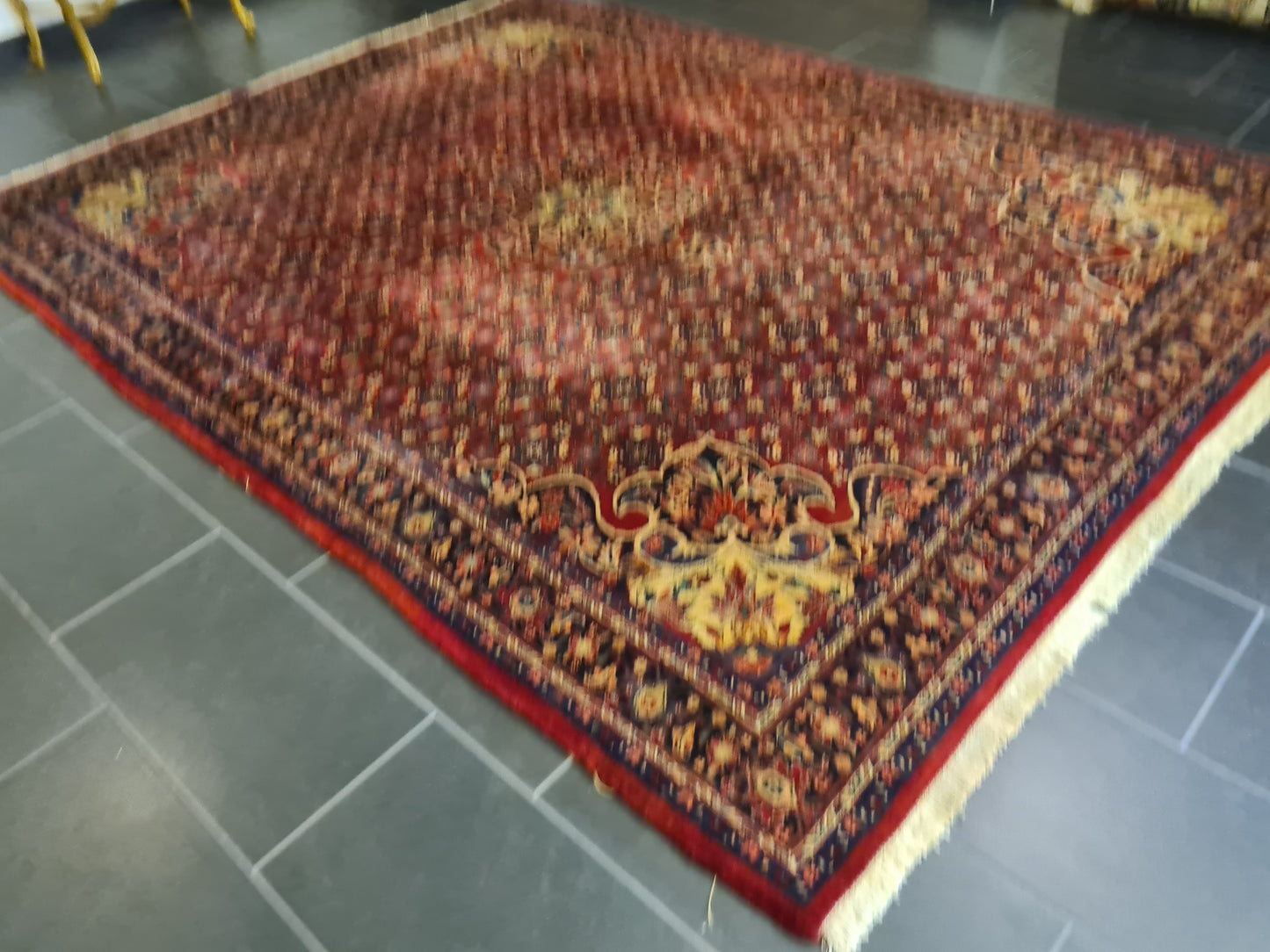 Feiner Königlicher Handgeknüpfter Perser Rosen Bidjar Orientteppich 300x228cm