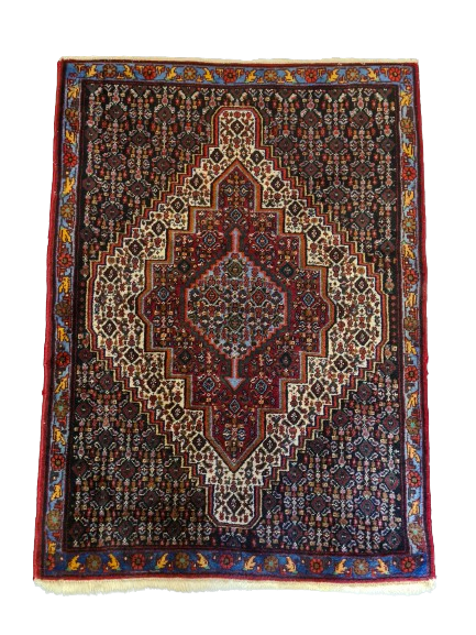 Edler Handgeknüpfter Perser Teppich Senneh Bidjar Orientteppich 110x79 cm