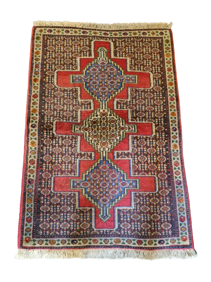 Edler Handgeknüpfter Senneh Bidjar Perser Teppich Orientteppich 110x75cm