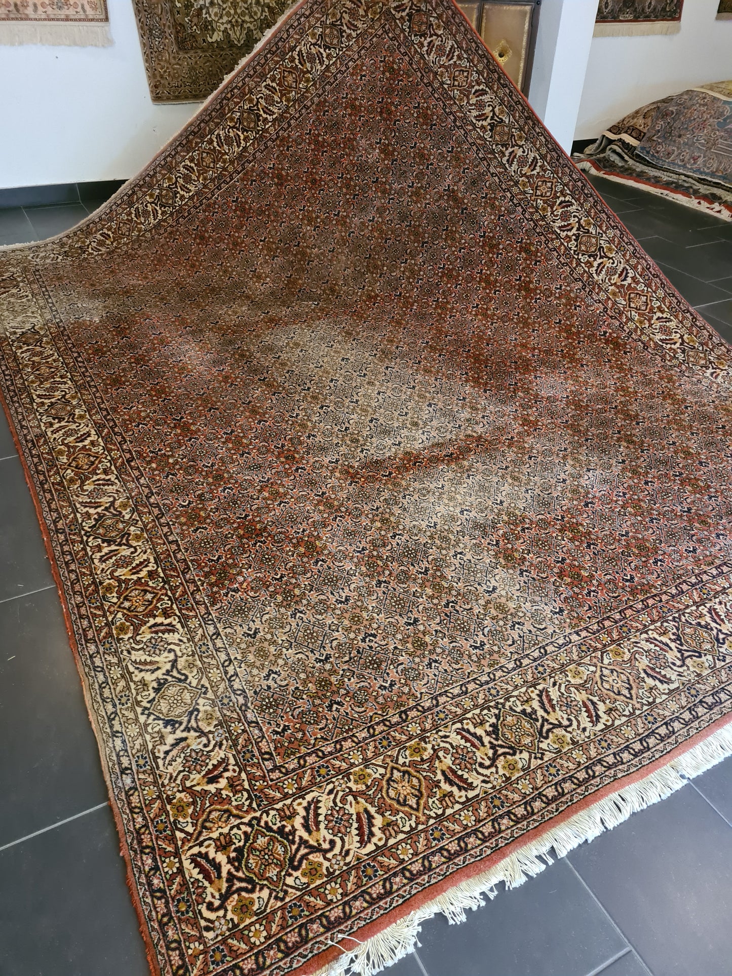 Edler Handgeknüpfter Perser Teppich Palast Orientteppich Bidjar 340x247cm