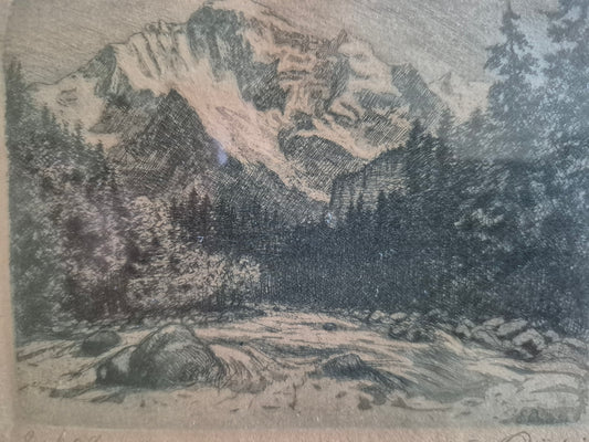 Eberhard Quirin (1864-1951) Original Kaltnadelradierung Waldlandschaft