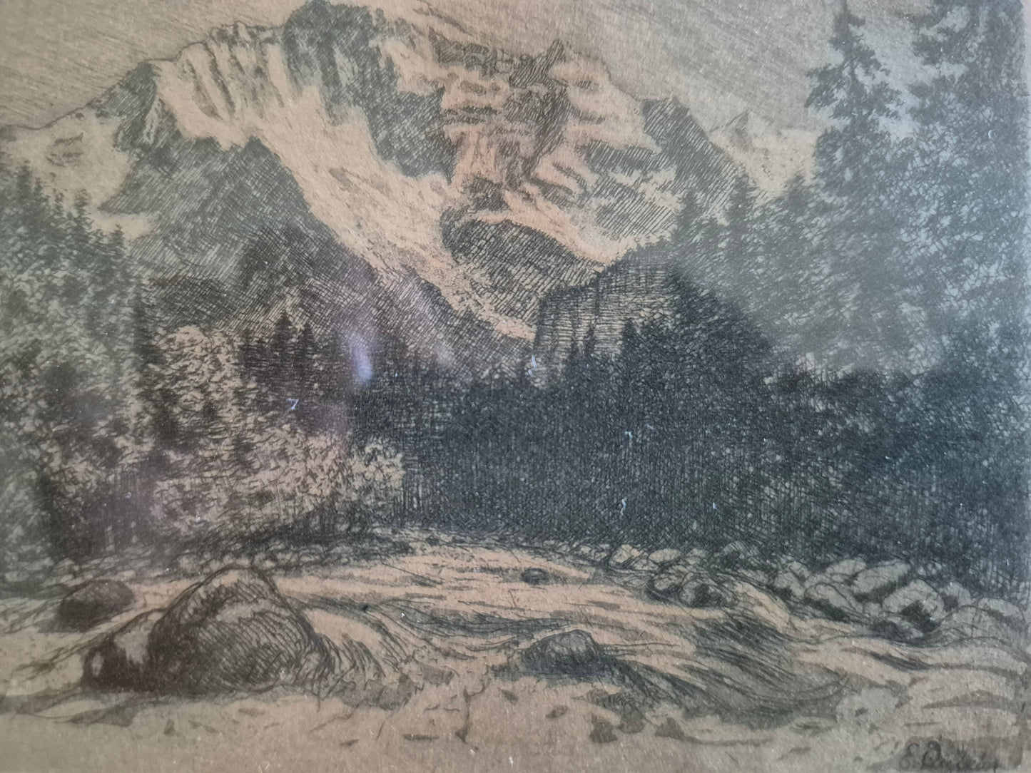 Eberhard Quirin (1864-1951) Original Kaltnadelradierung Waldlandschaft