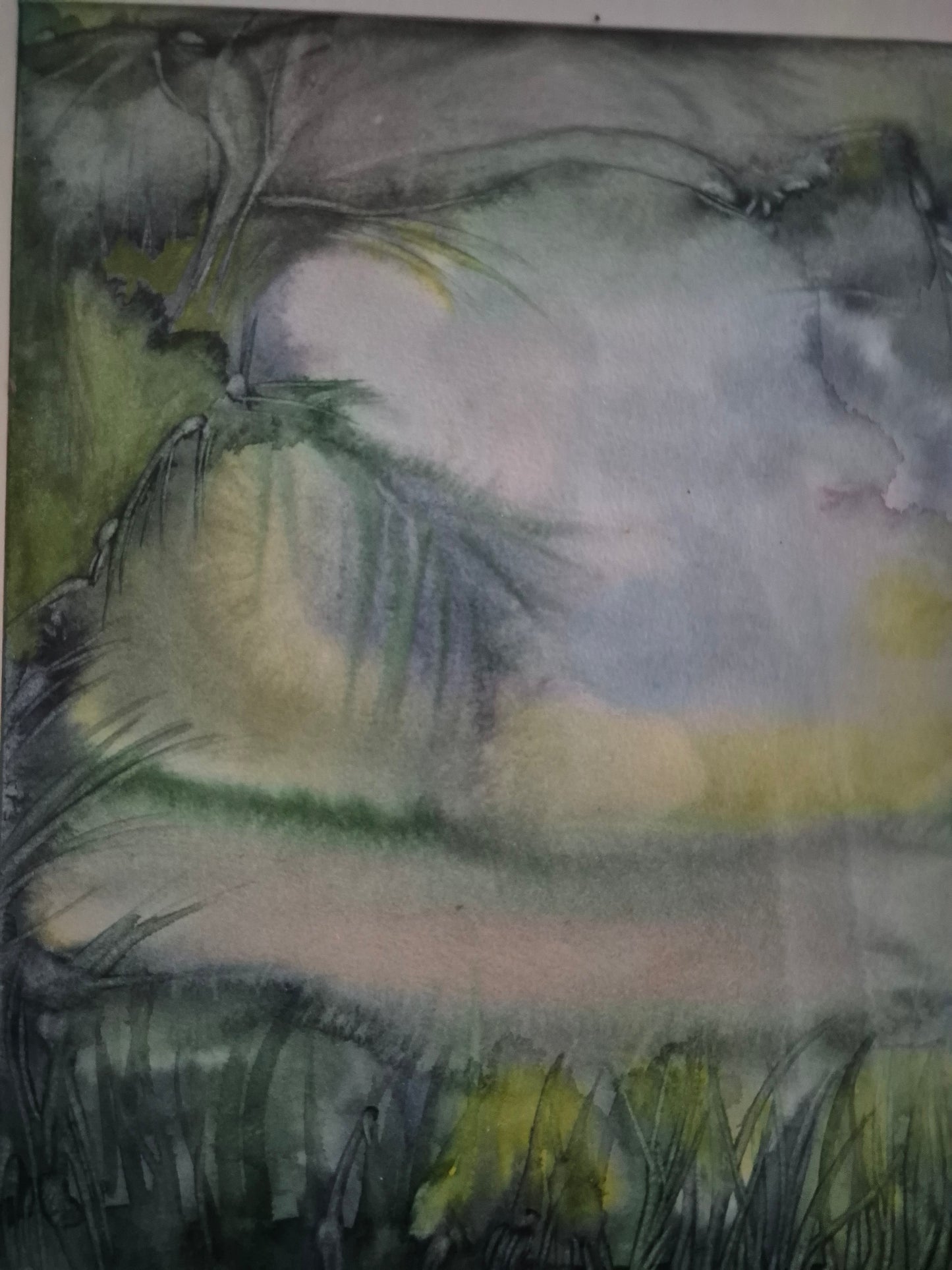 Aquarell Grafik Naturmotiv Blick in die Tropen (1982) 38x42 cm