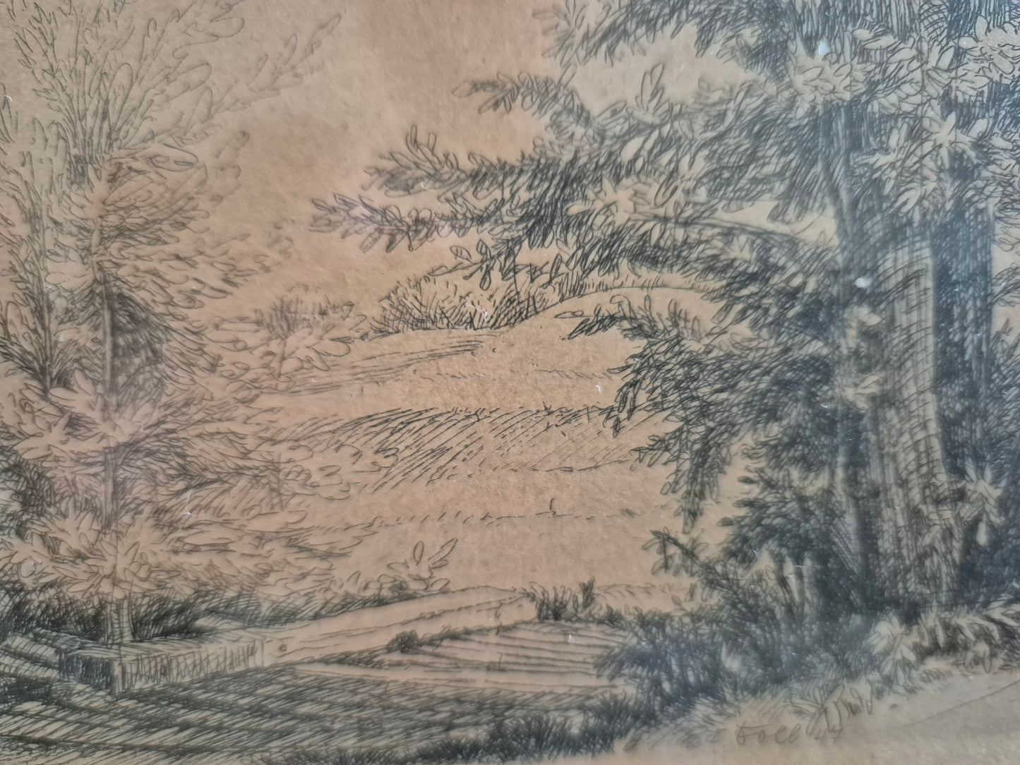 Radierung (XX) Gemälde Bild Landschaft Waldlandschaft gerahmt 18,5x22,5 cm