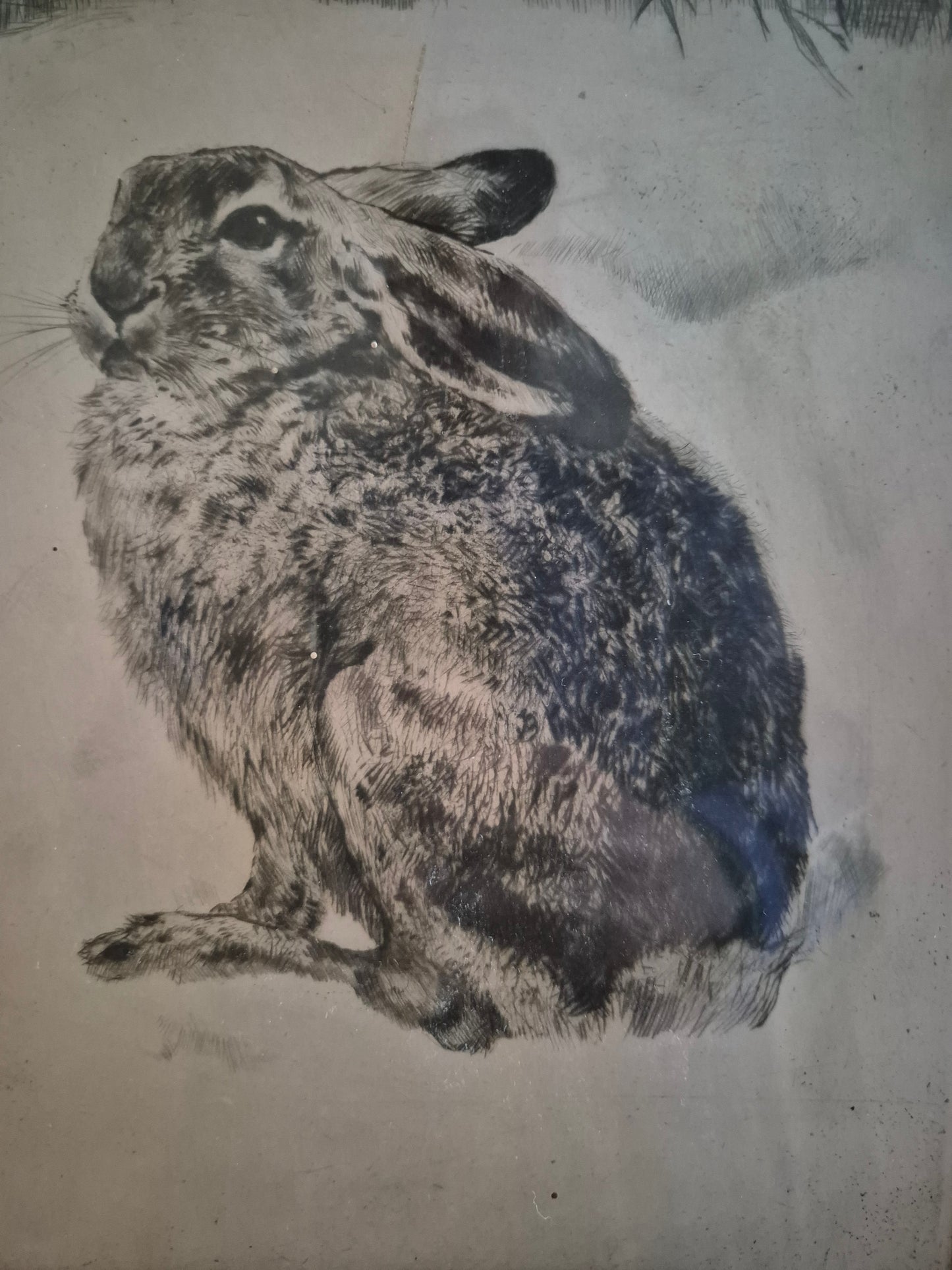 Kurt Meyer Eberhardt (1895–1977) Radierung Hase im Schnee 40x35,5 cm