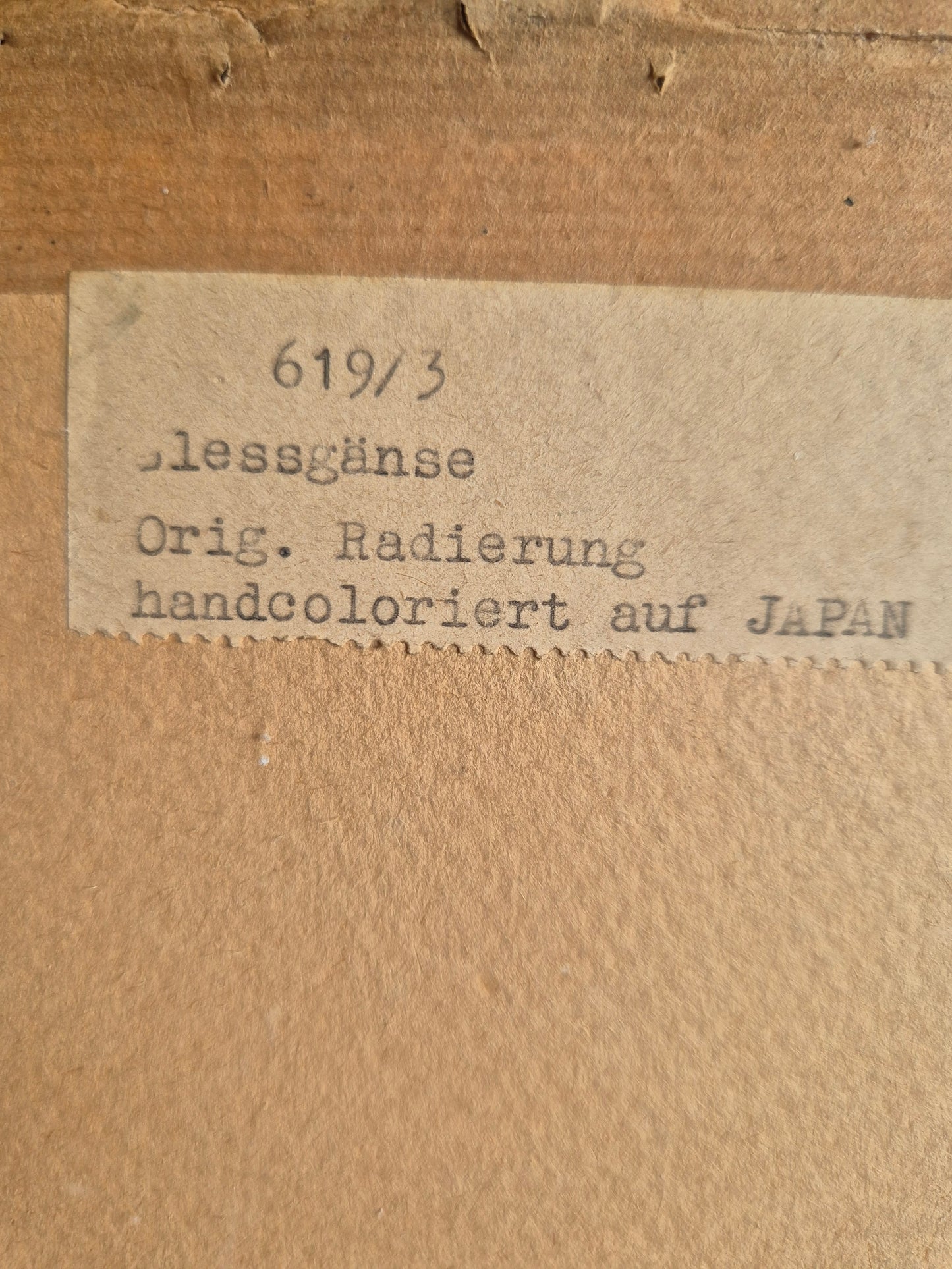 Original Radierung Blässgänse Handkoloriert Landschaftsszene