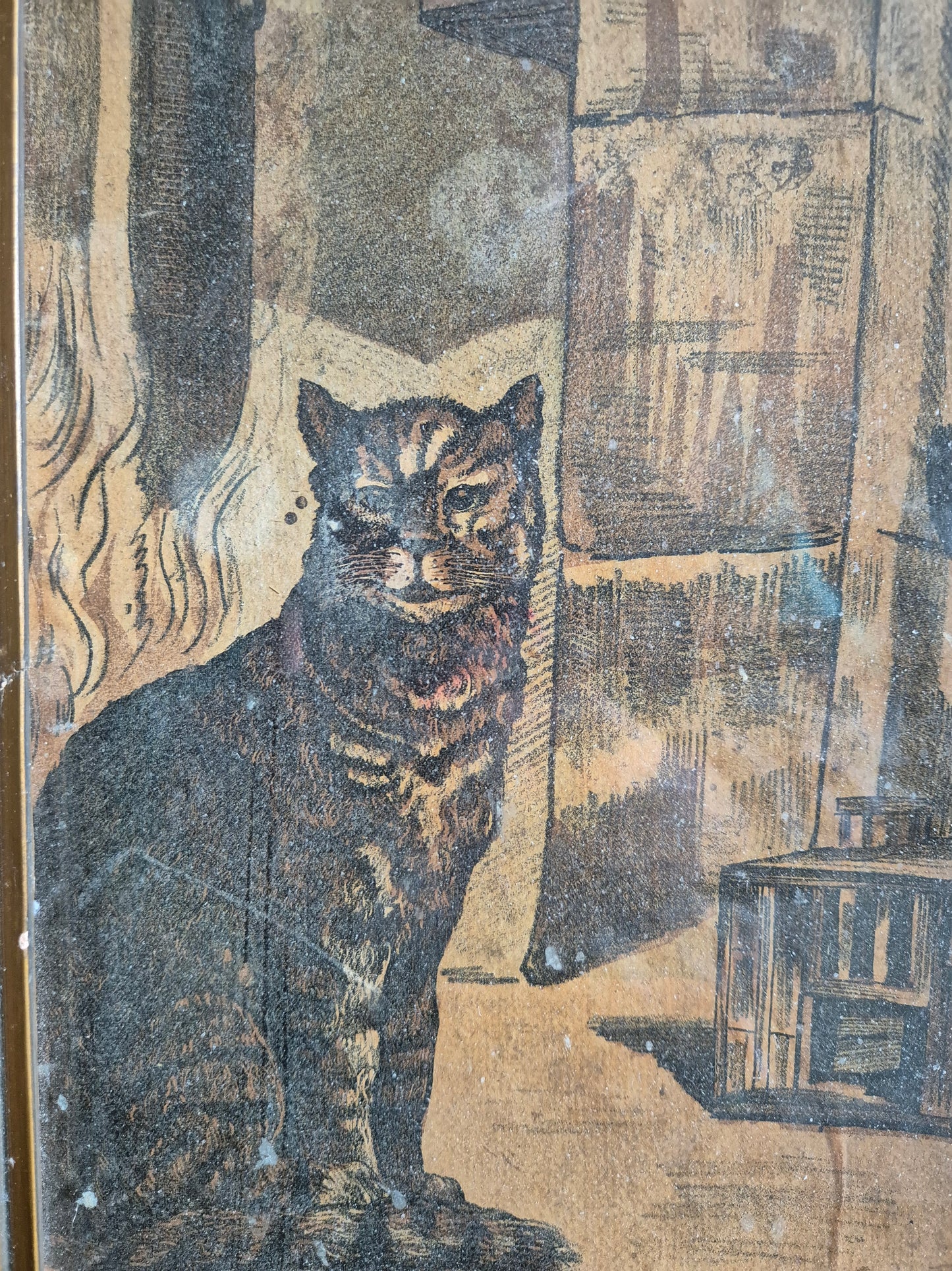 Europäische Schule 20. Jhrd. Farbradierung Katze im Haus 25x32.5 cm